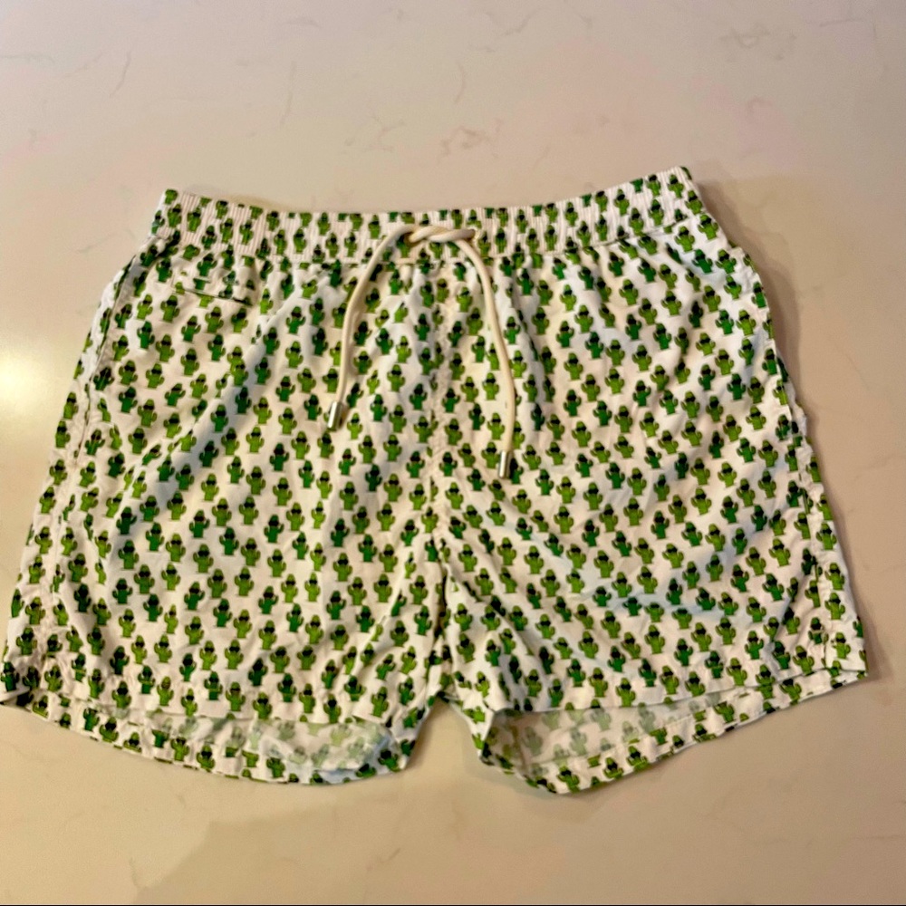 MC2 Saint Barth Mens micro Cactus Sun print Swim Shorts